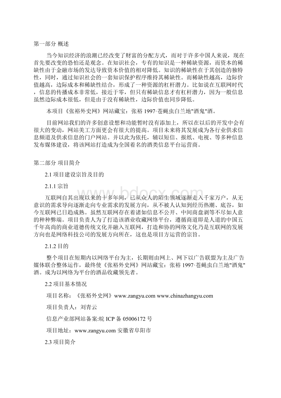 信息网站项目推广计划Word下载.docx_第3页