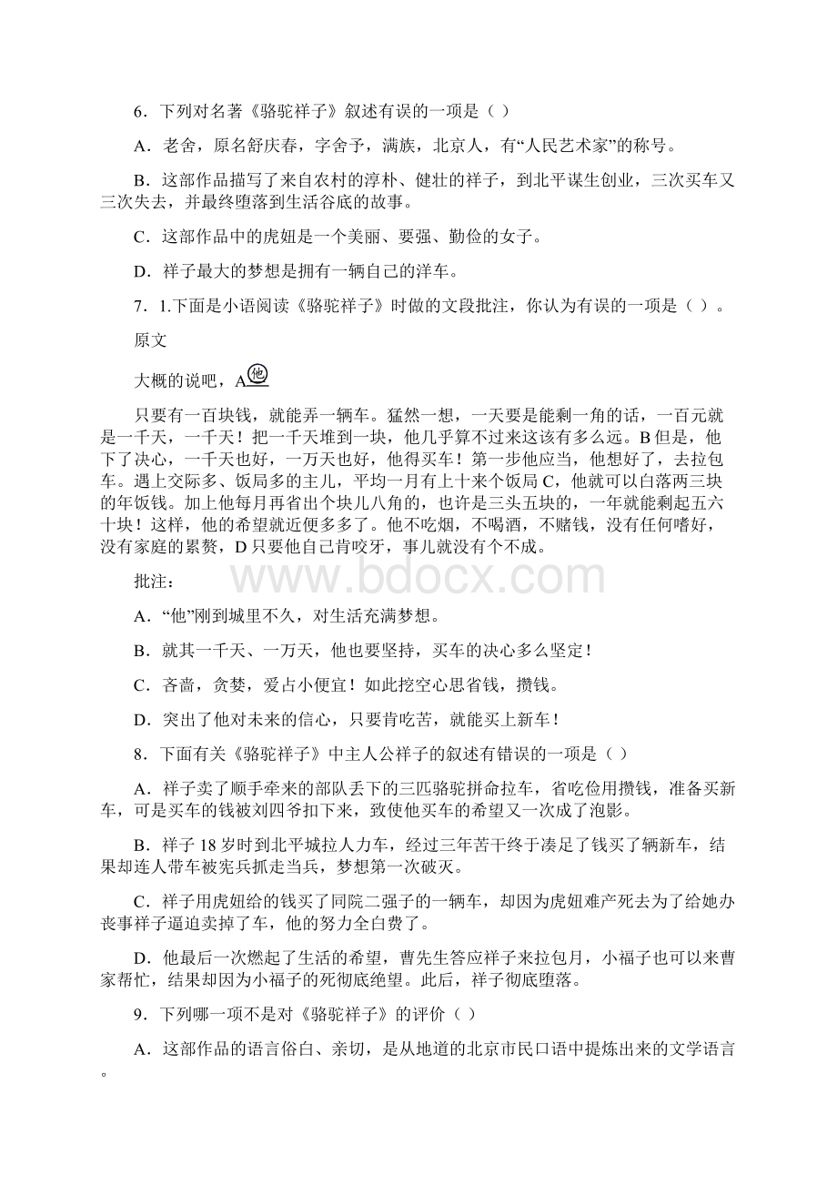 名著阅读《骆驼祥子海底两万里七年级》练习附答案9.docx_第2页