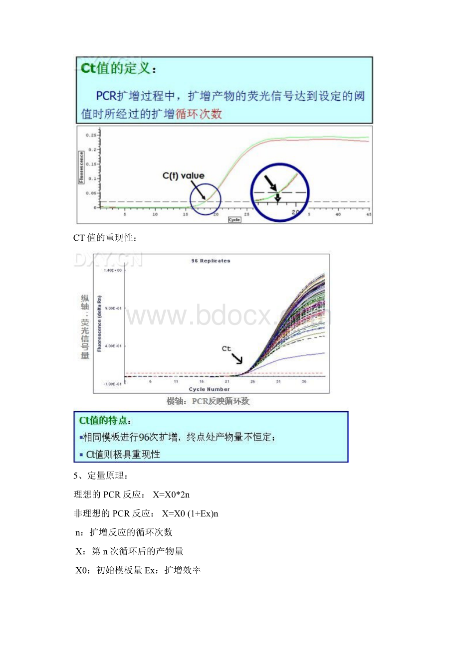 RTPCR详细图文解析文档格式.docx_第3页