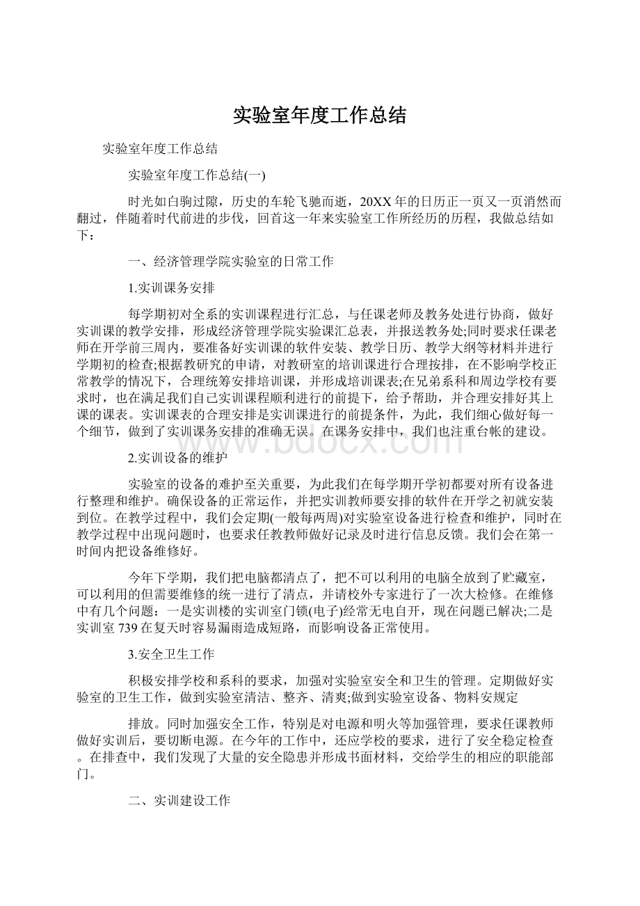 实验室年度工作总结Word文件下载.docx