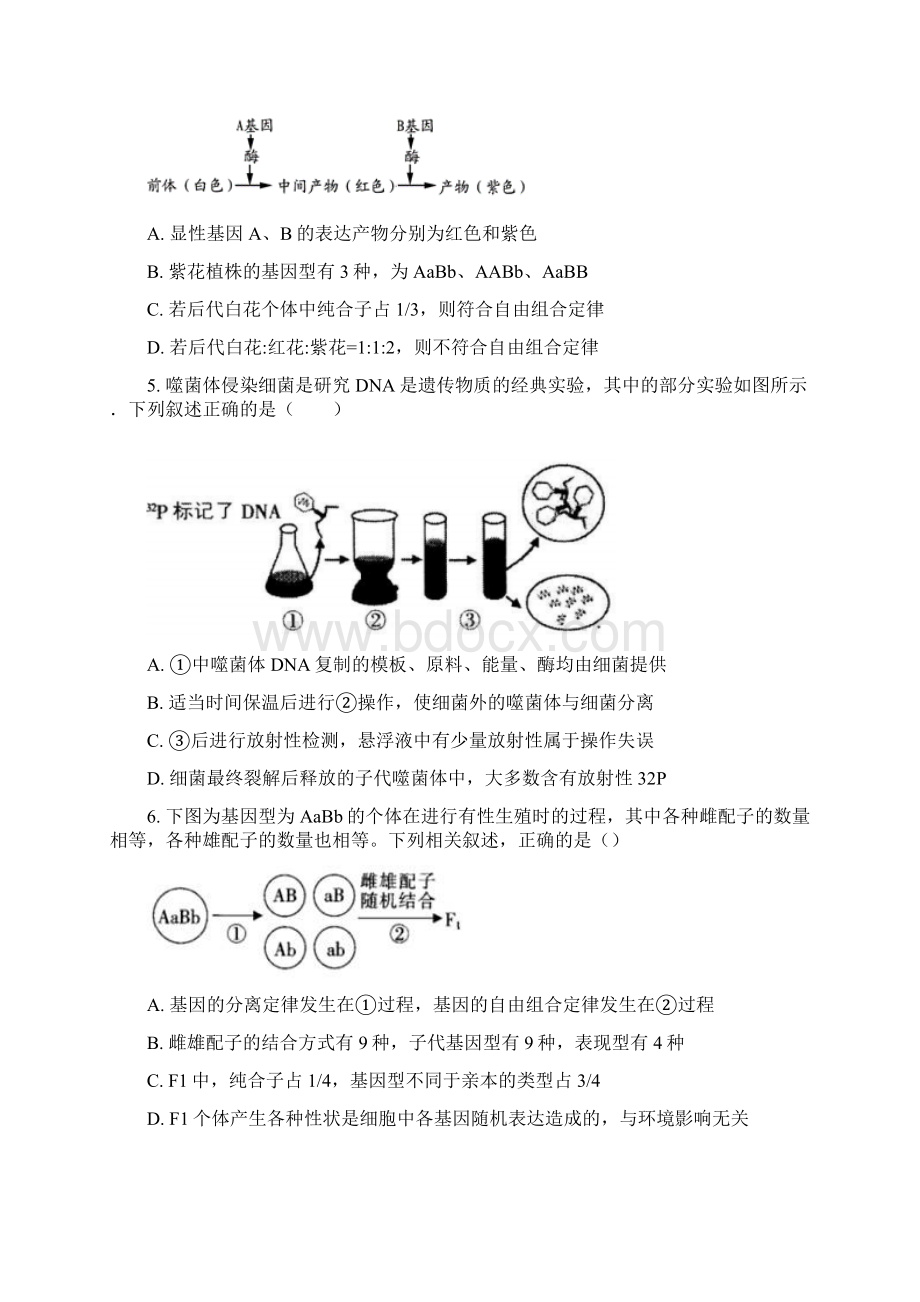 高二生物模拟试题学生用卷 提升卷.docx_第2页