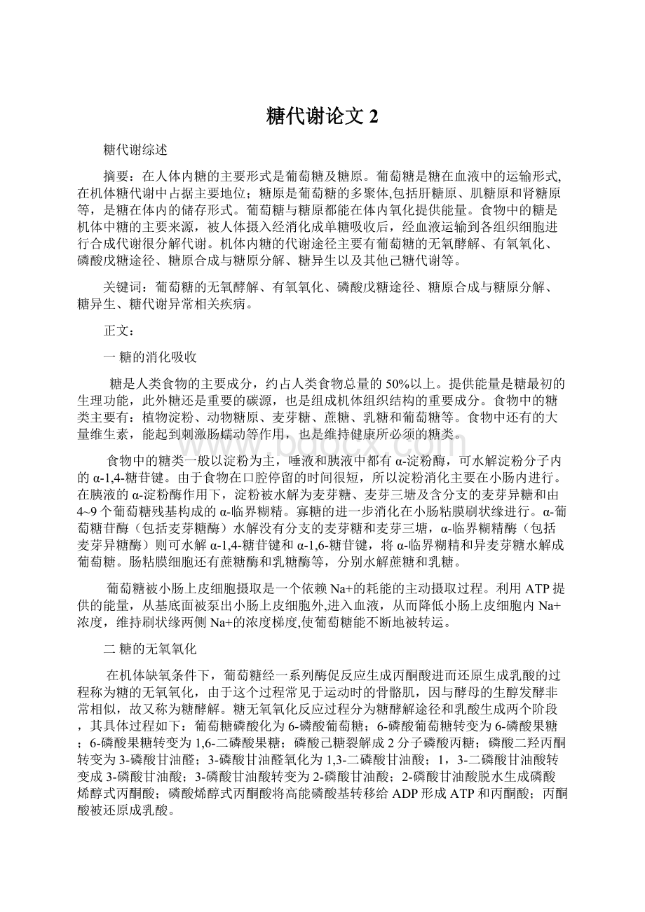 糖代谢论文2Word文件下载.docx_第1页