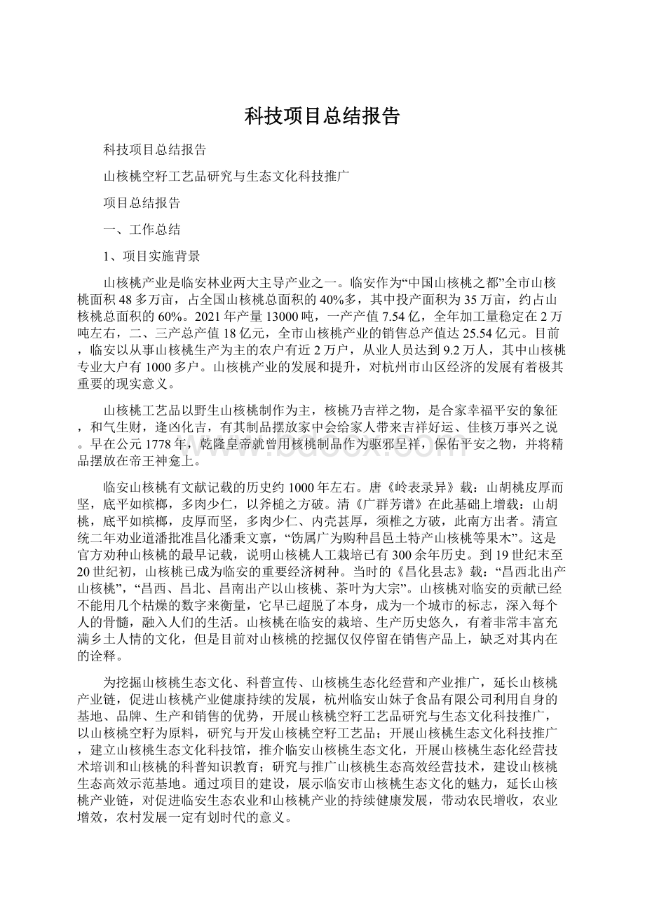 科技项目总结报告.docx_第1页