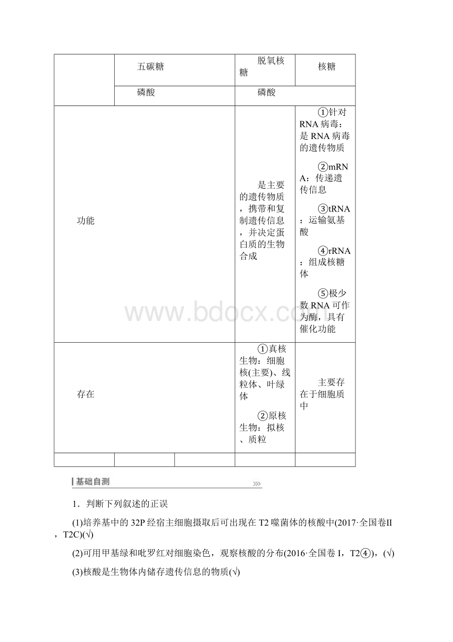 高考生物一轮复习第一单元走近细胞第4讲核酸糖类与脂质教案新人教版Word文件下载.docx_第3页