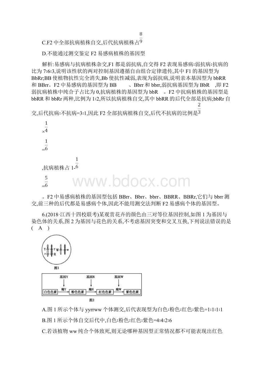 届二轮孟德尔定律及其应用 专题卷适用全国文档格式.docx_第3页