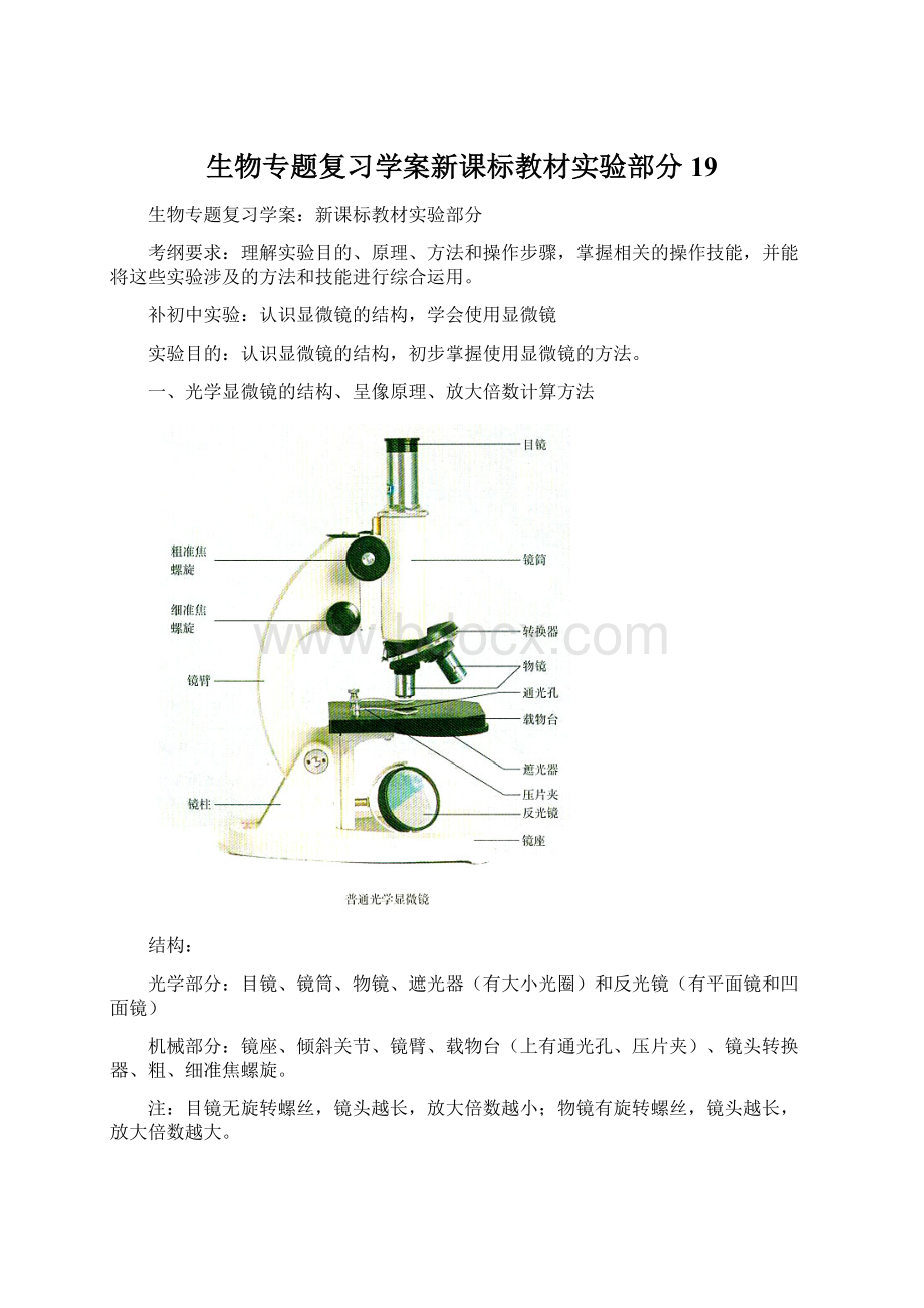 生物专题复习学案新课标教材实验部分19.docx_第1页