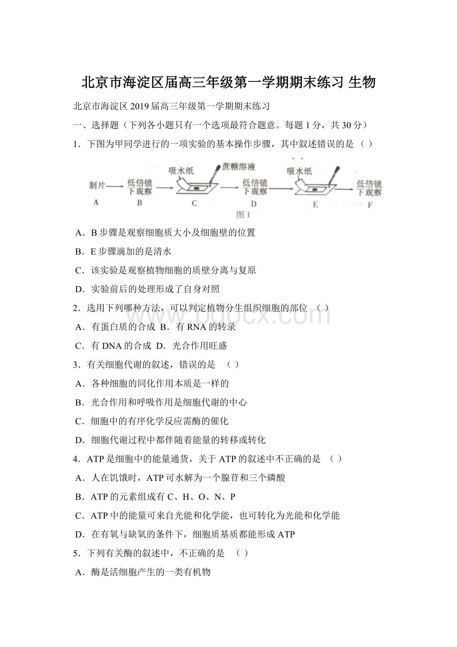 北京市海淀区届高三年级第一学期期末练习 生物Word文件下载.docx_第1页