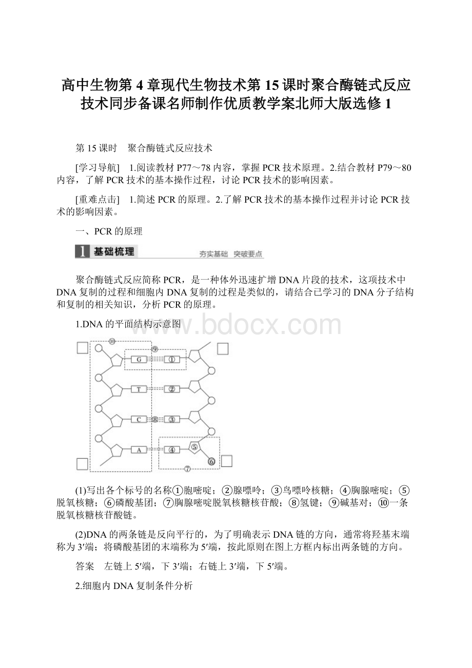 高中生物第4章现代生物技术第15课时聚合酶链式反应技术同步备课名师制作优质教学案北师大版选修1Word格式文档下载.docx_第1页