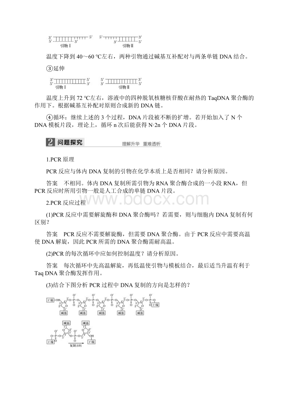 高中生物第4章现代生物技术第15课时聚合酶链式反应技术同步备课名师制作优质教学案北师大版选修1Word格式文档下载.docx_第3页