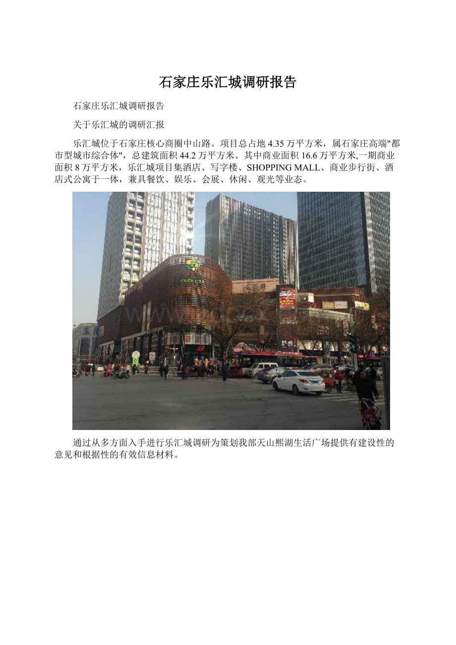 石家庄乐汇城调研报告.docx_第1页