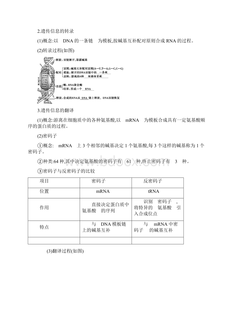 高考生物一轮复习第6单元遗传的分子基础第18讲基因的表达教案.docx_第2页