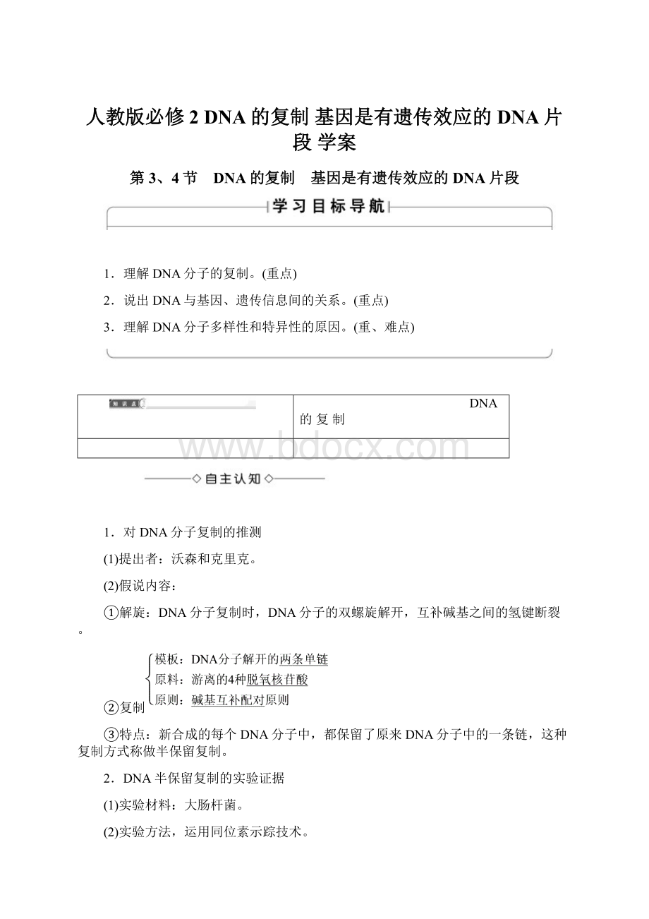 人教版必修2 DNA的复制 基因是有遗传效应的DNA片段 学案Word格式.docx