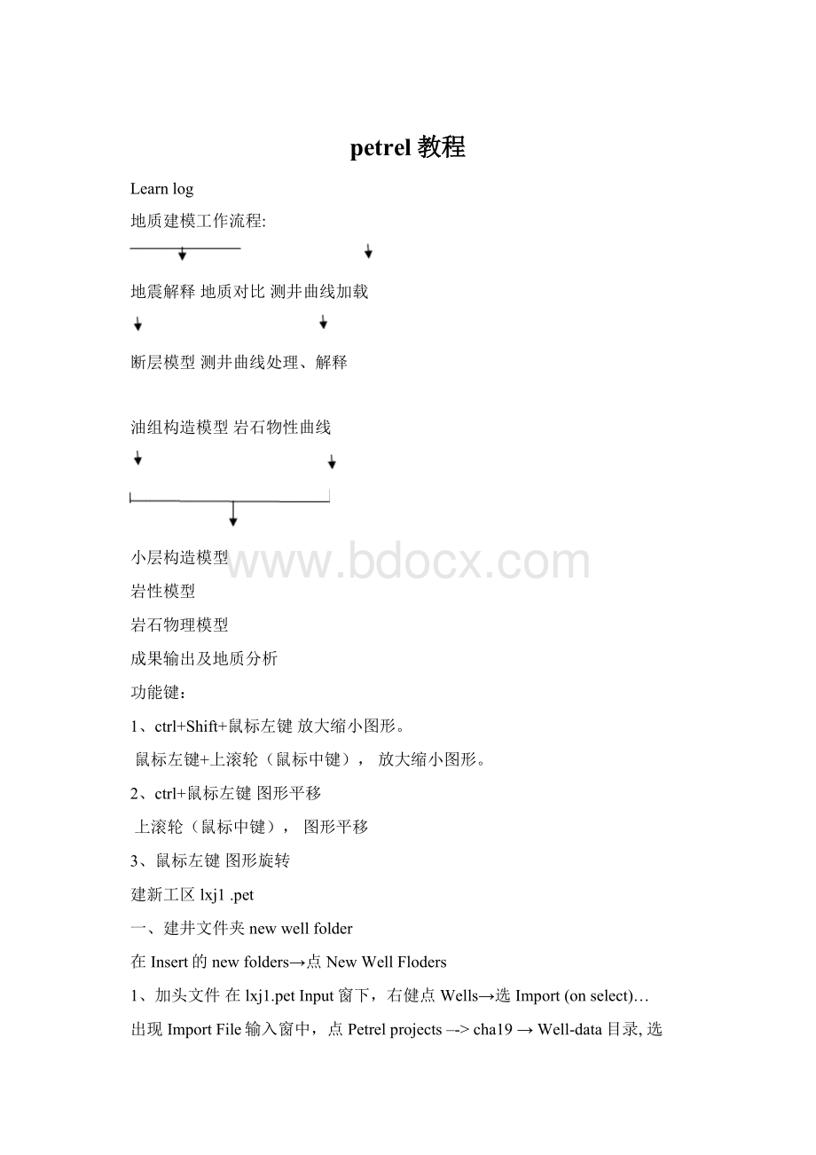 petrel教程文档格式.docx