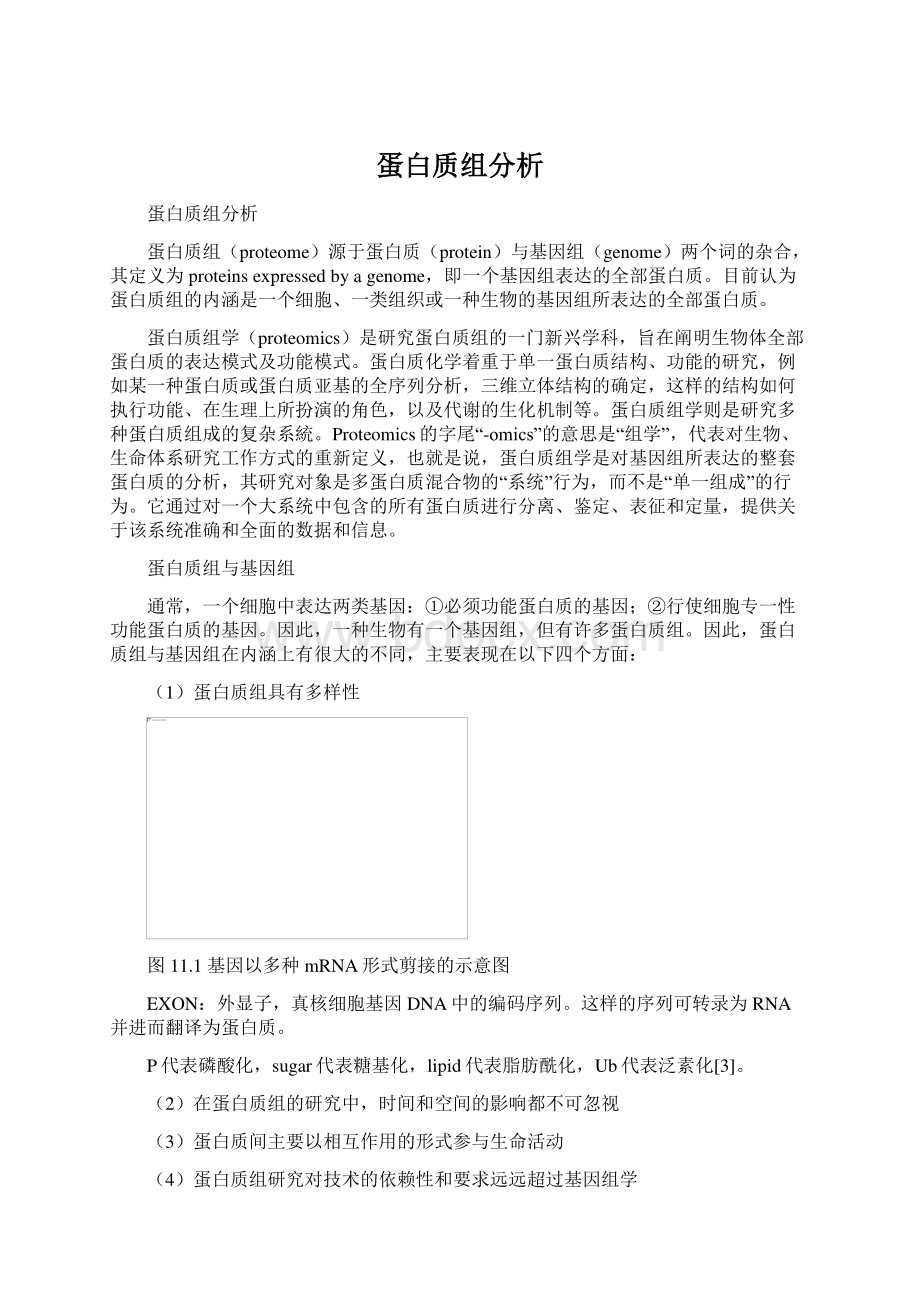 蛋白质组分析.docx_第1页