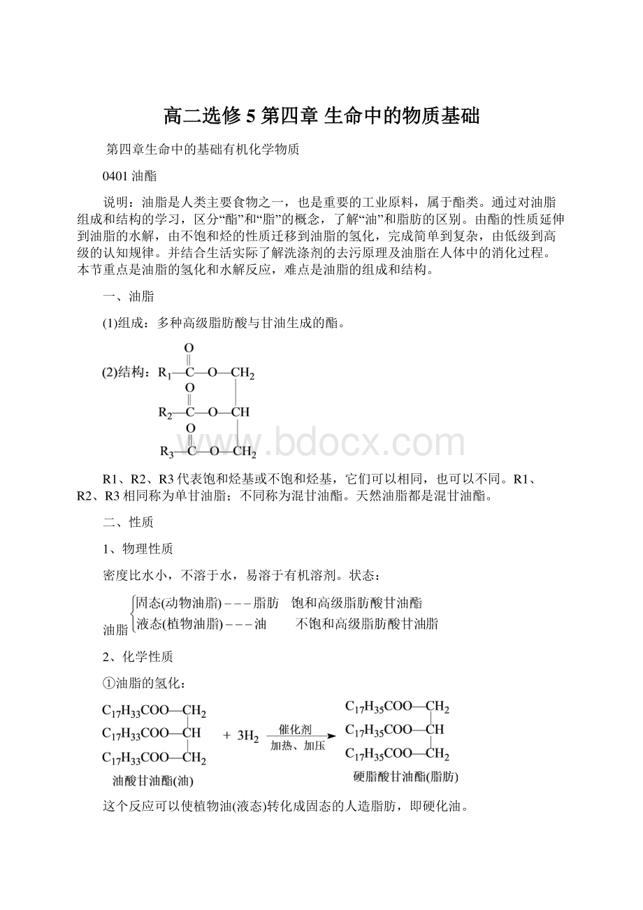 高二选修5 第四章 生命中的物质基础Word格式.docx