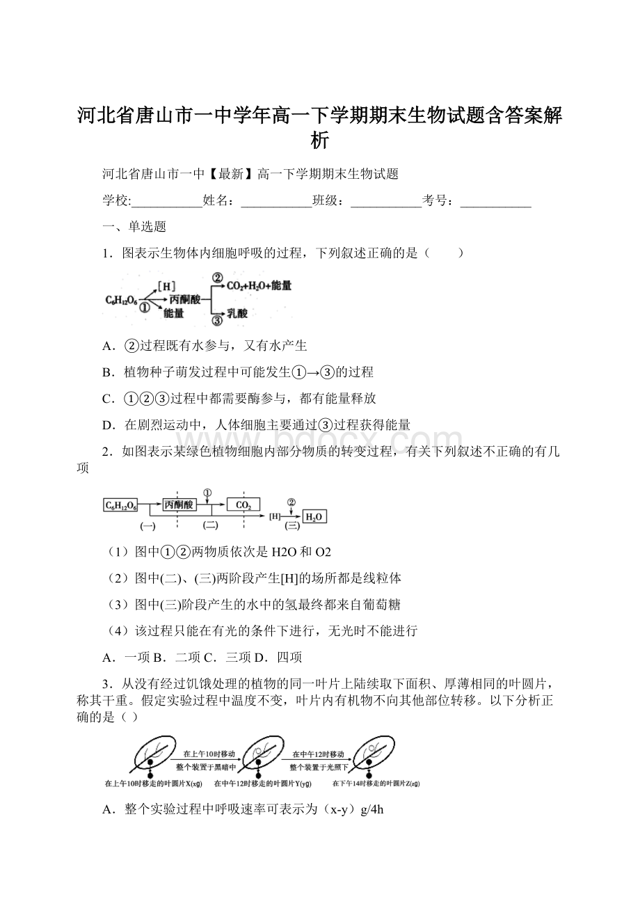 河北省唐山市一中学年高一下学期期末生物试题含答案解析文档格式.docx_第1页