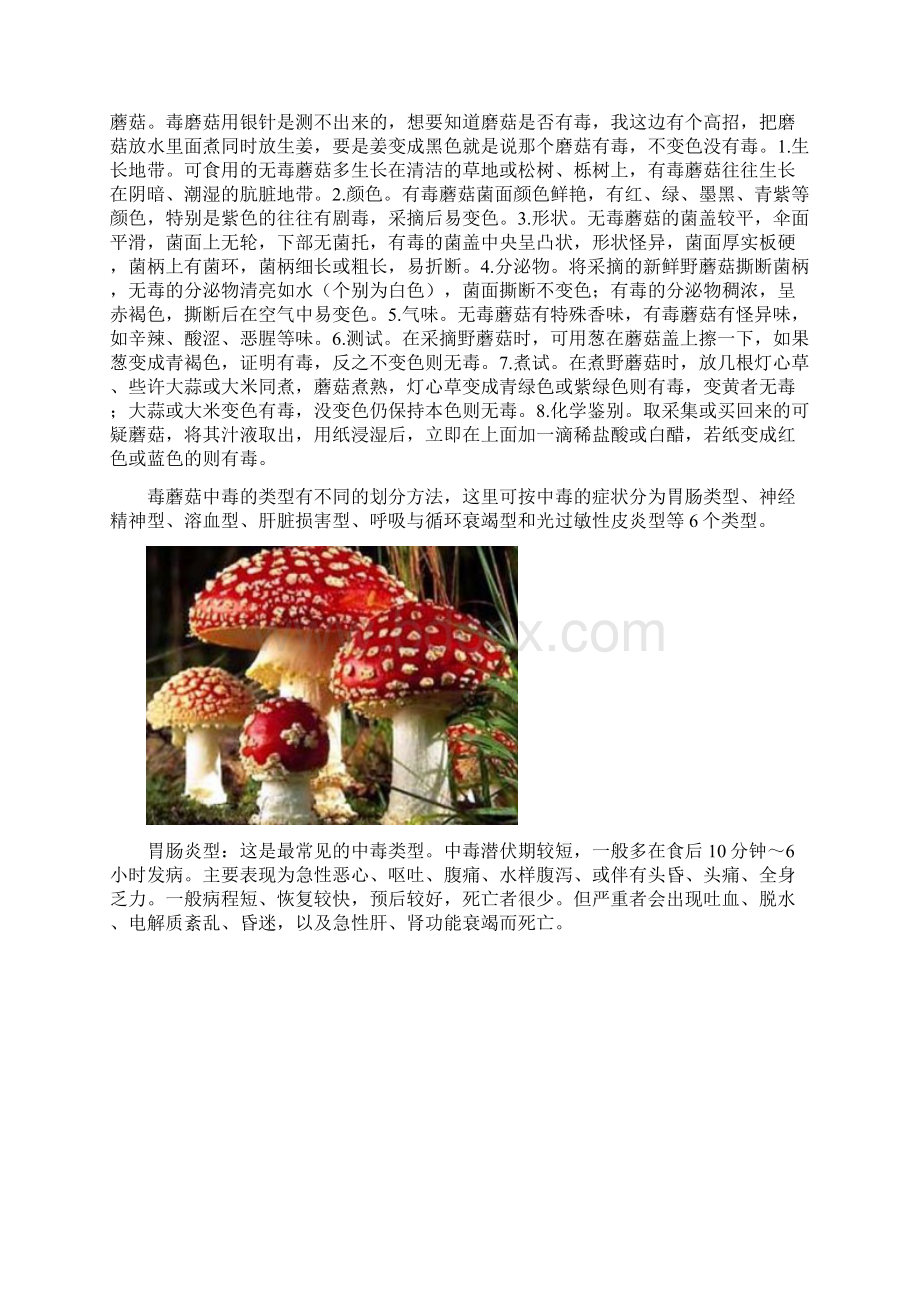 毒蘑菇的相关知识知识讲解文档格式.docx_第2页