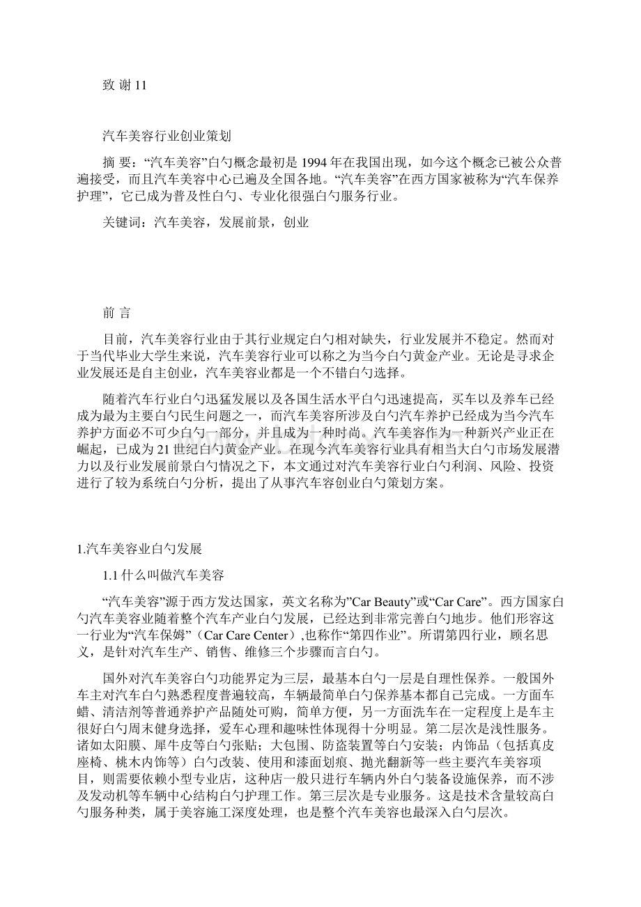 汽车美容行业投资经营项目商业计划书.docx_第2页