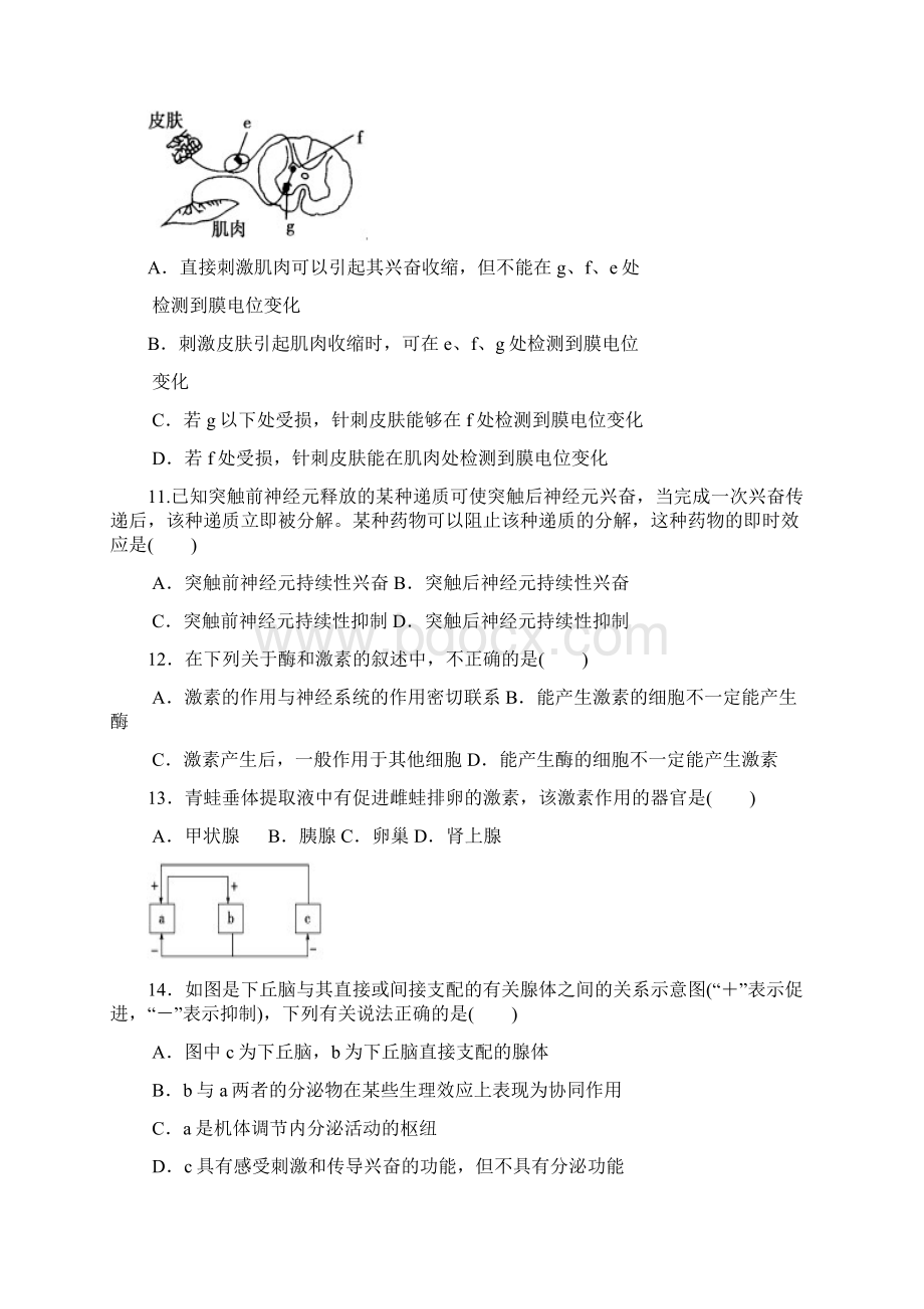 成都七中高级高二上期期末练习2.docx_第3页