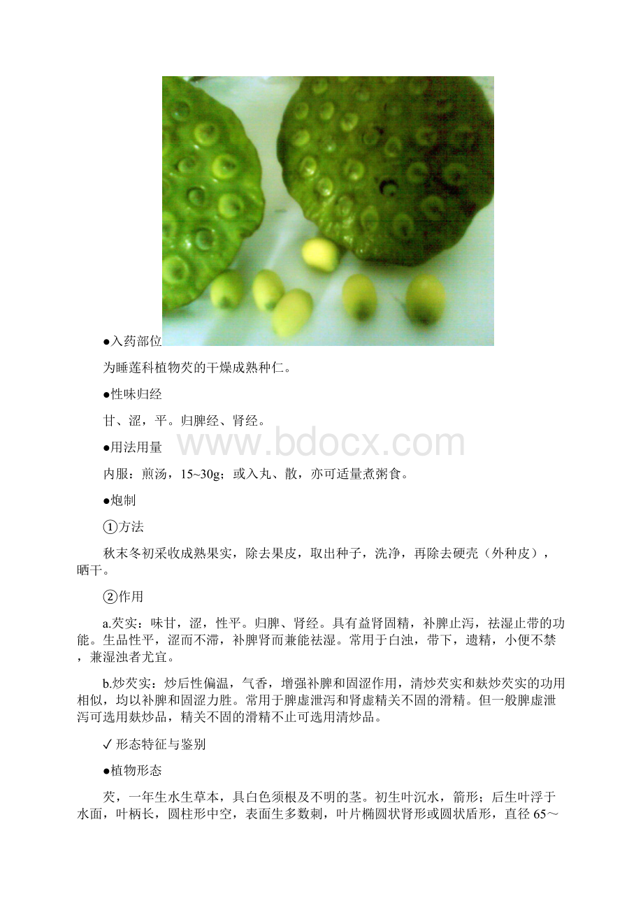 芡实的功效及食用方法.docx_第2页