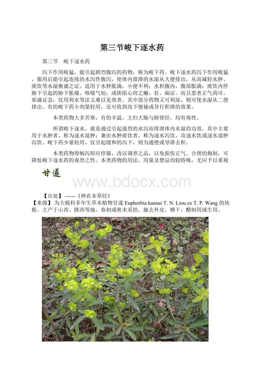 第三节峻下逐水药Word文件下载.docx_第1页