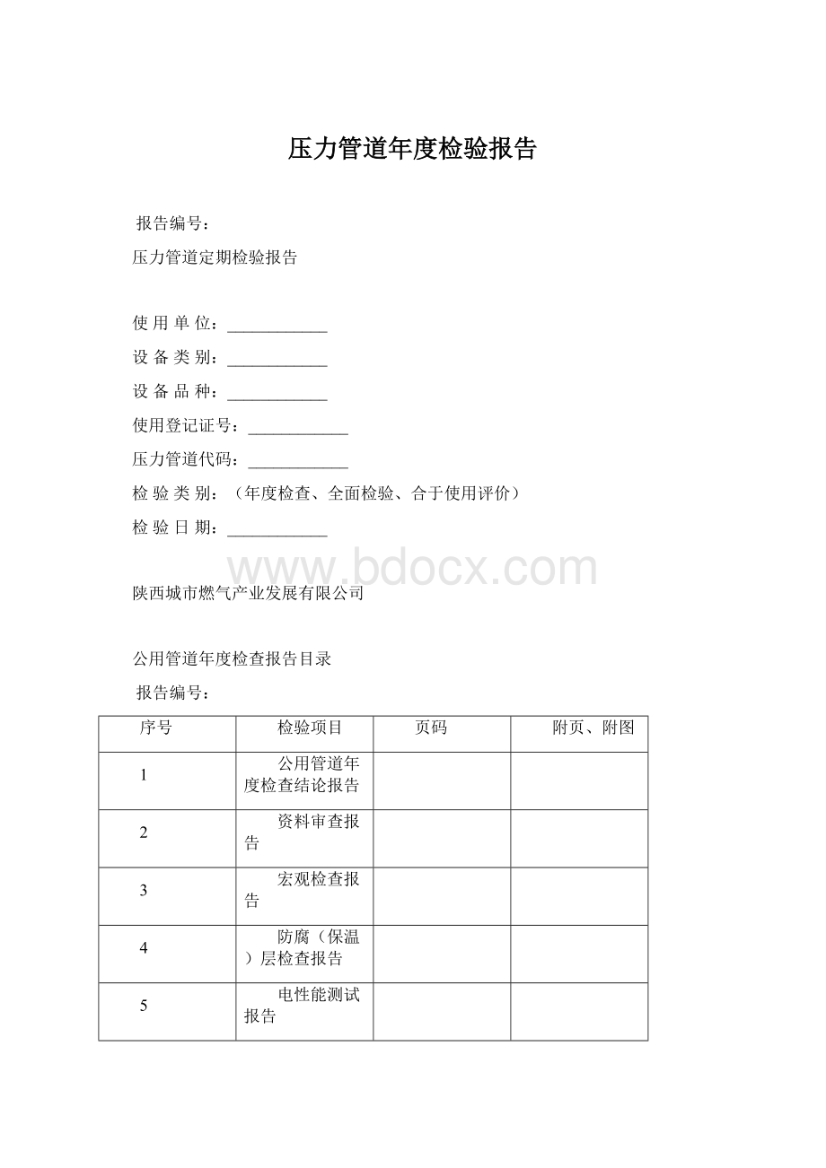 压力管道年度检验报告Word文档格式.docx