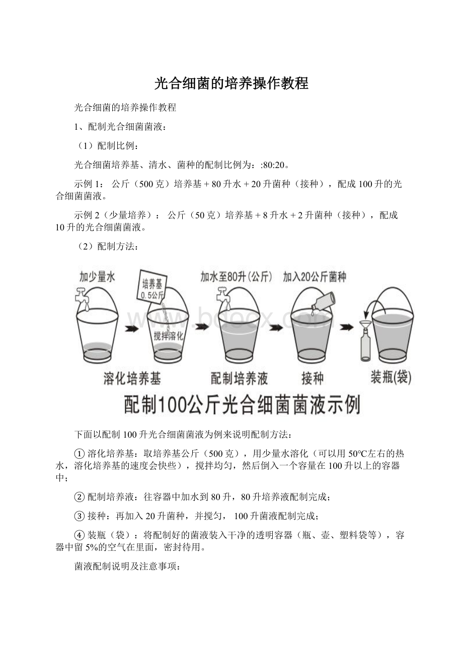 光合细菌的培养操作教程Word文档格式.docx