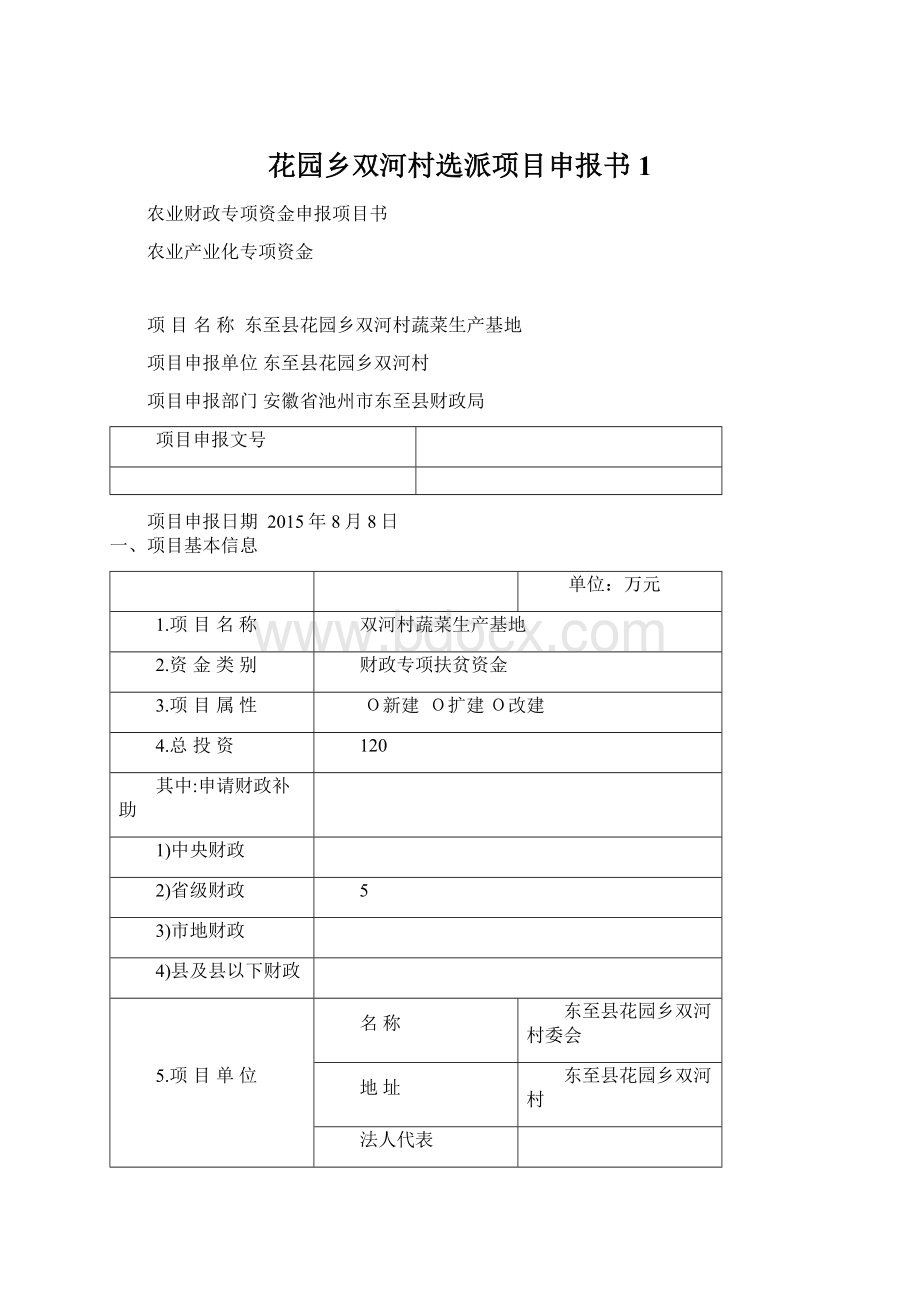花园乡双河村选派项目申报书1Word格式.docx_第1页