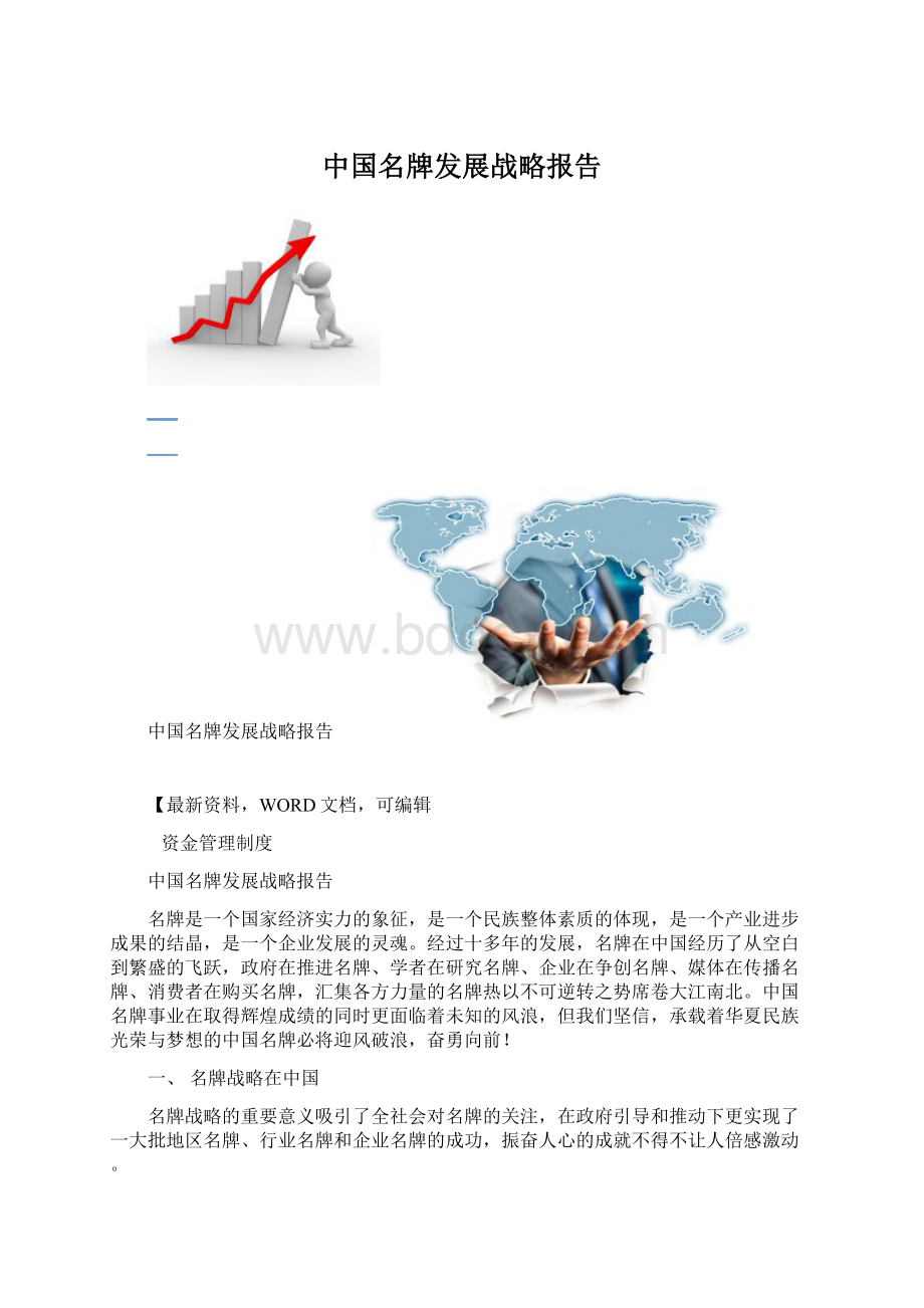 中国名牌发展战略报告.docx