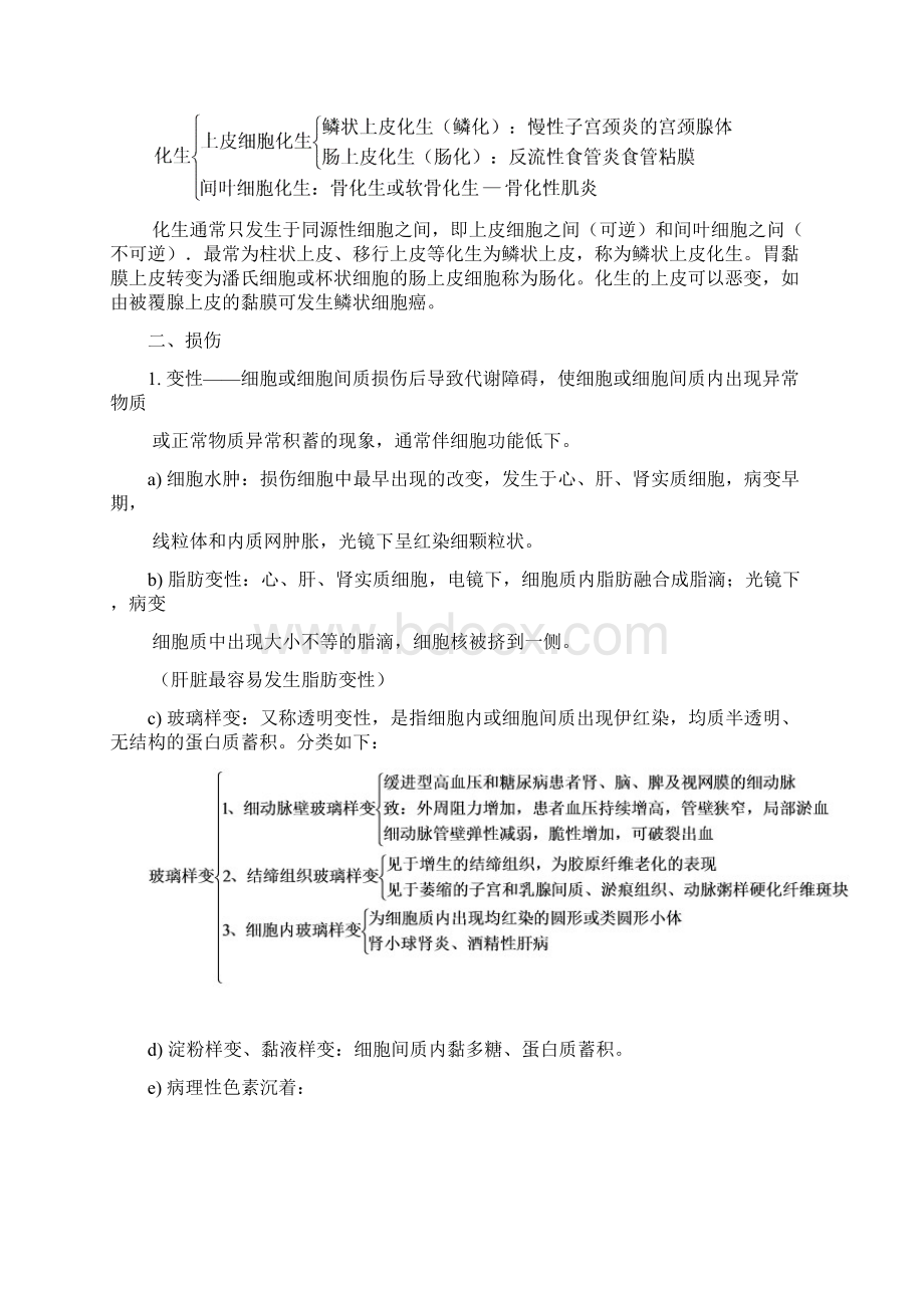 病理学知识点归纳重点.docx_第2页