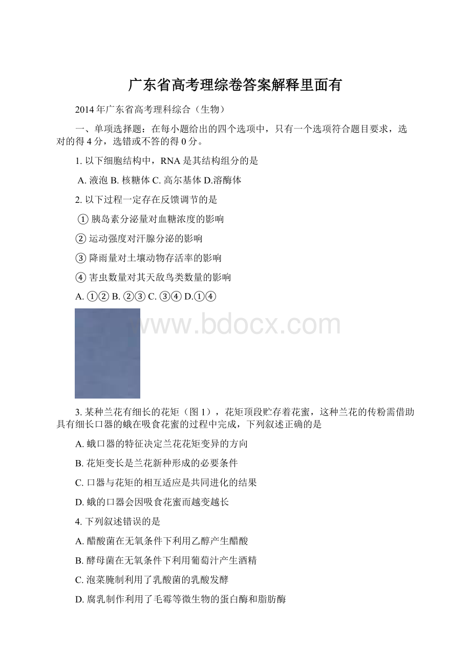 广东省高考理综卷答案解释里面有.docx_第1页