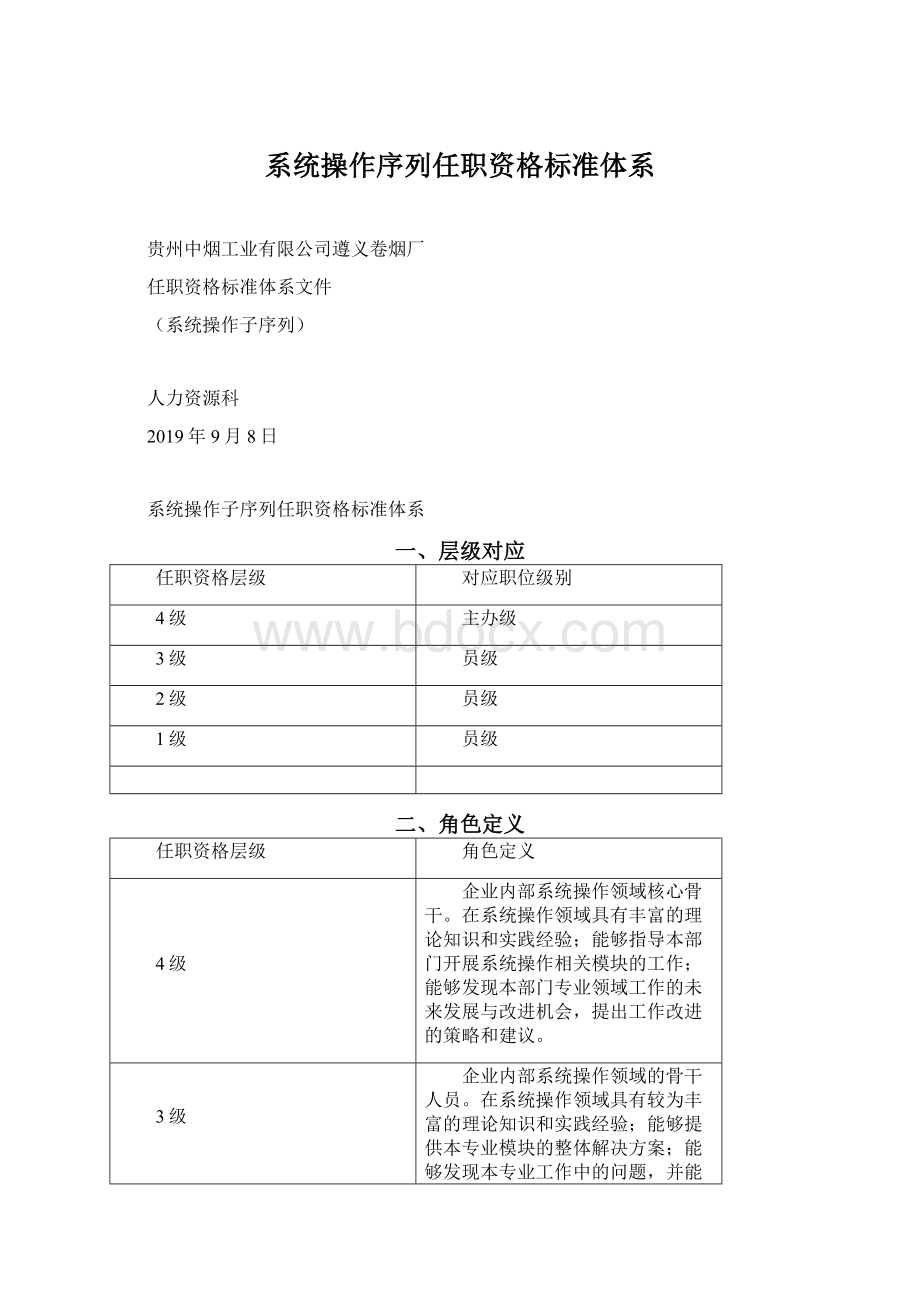 系统操作序列任职资格标准体系.docx