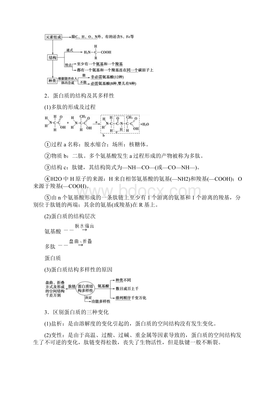 版高考生物苏教版一轮复习学案必修1 第1单元 第3讲 蛋白质的结构和功能文档格式.docx_第2页