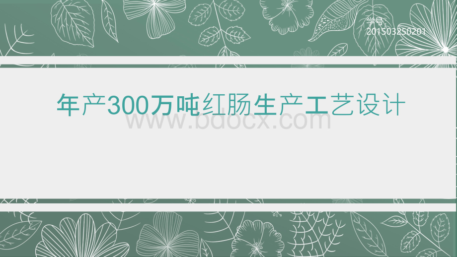 年产300万吨红肠生产工艺设计.pptx_第1页