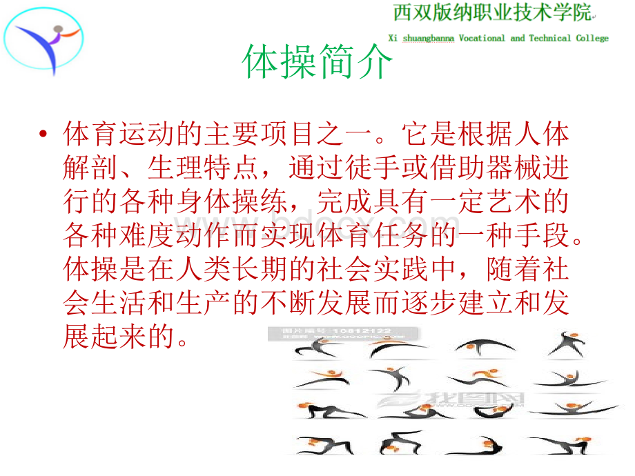 体操的运动知识.ppt_第2页