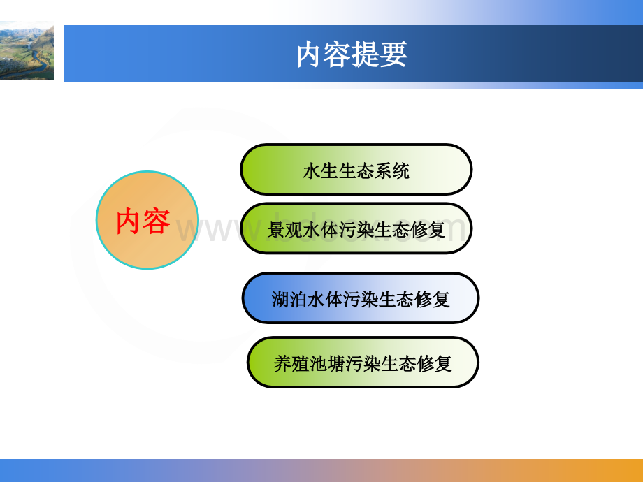 水体污染修复生态工程.ppt_第2页