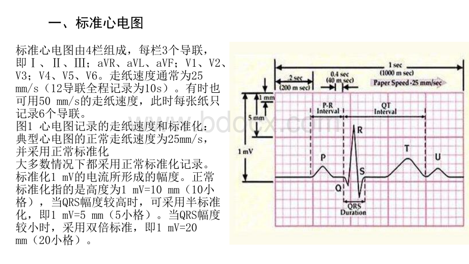 心电图基础知识.pptx_第2页