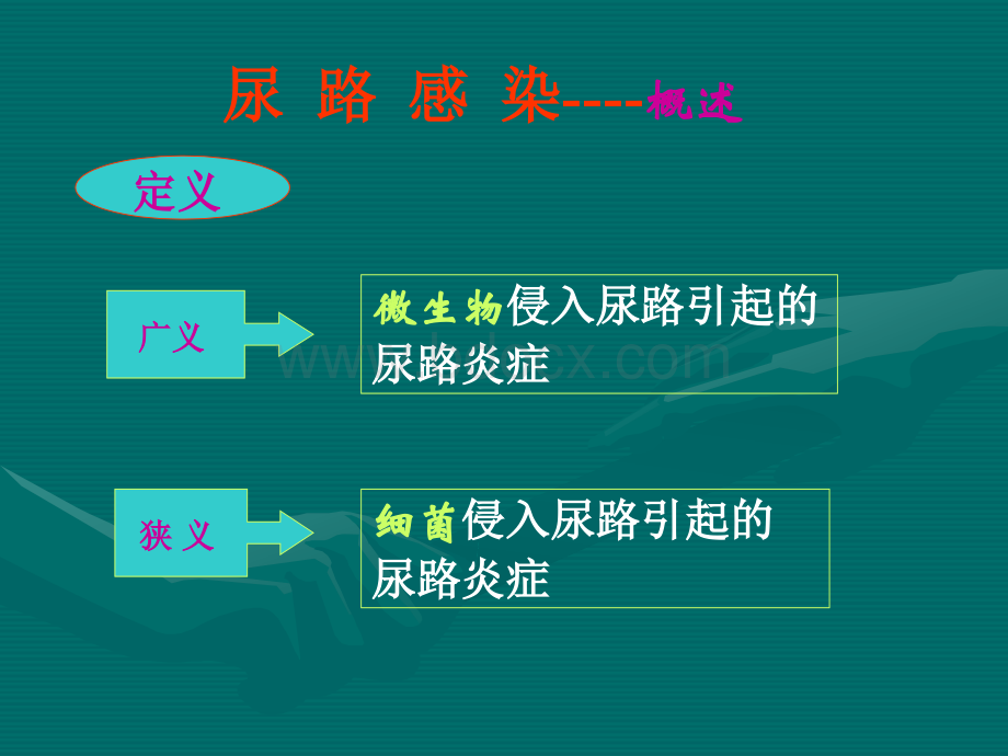 尿路感染.演示文稿优质PPT.ppt_第3页