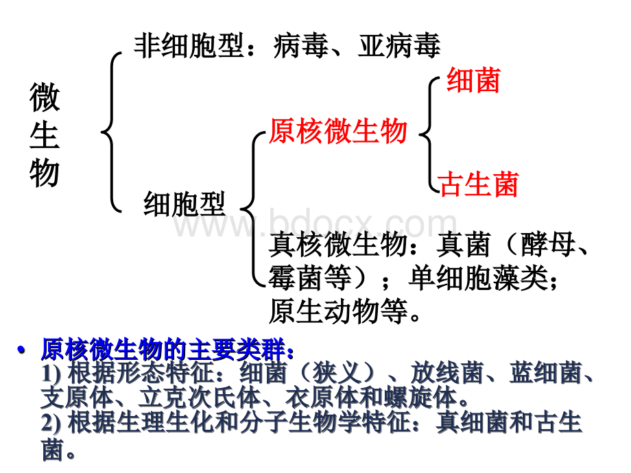 第二章-1原核微生物PPT格式课件下载.ppt_第1页