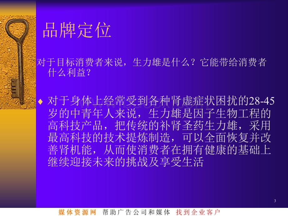 生力雄丸品牌策划提案.ppt_第3页