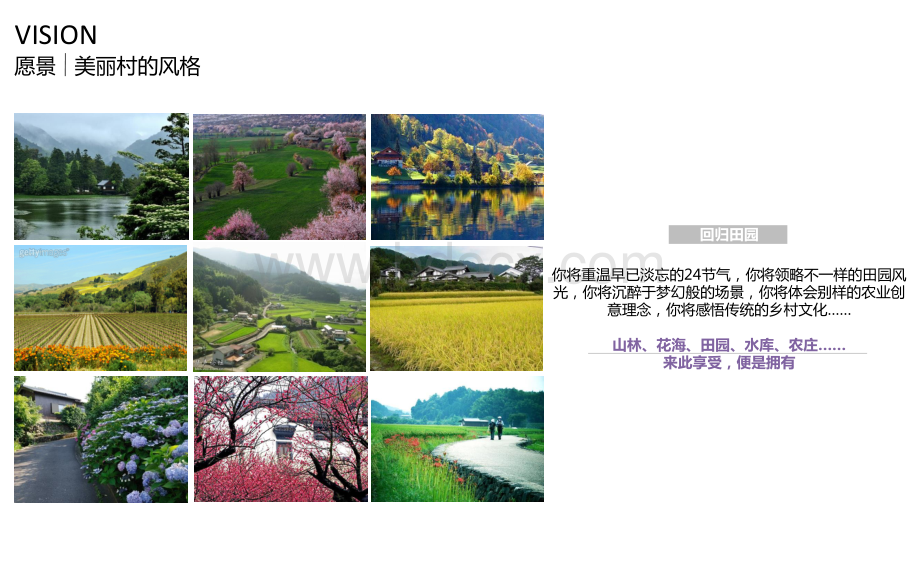 田园综合体启动区景观设计.pdf_第3页