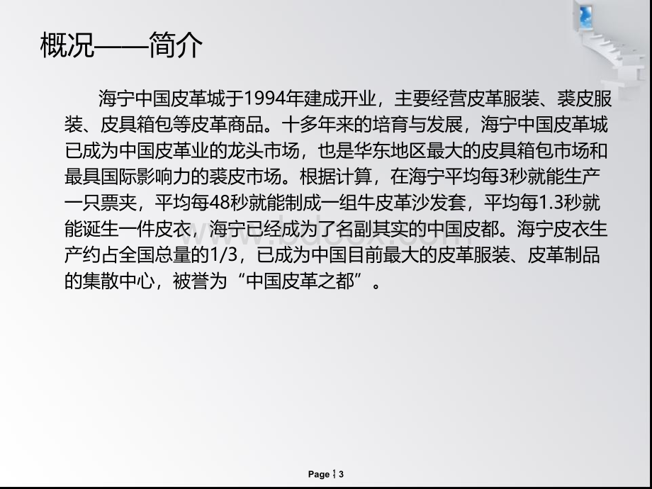 海宁皮革城调查报告.ppt_第3页