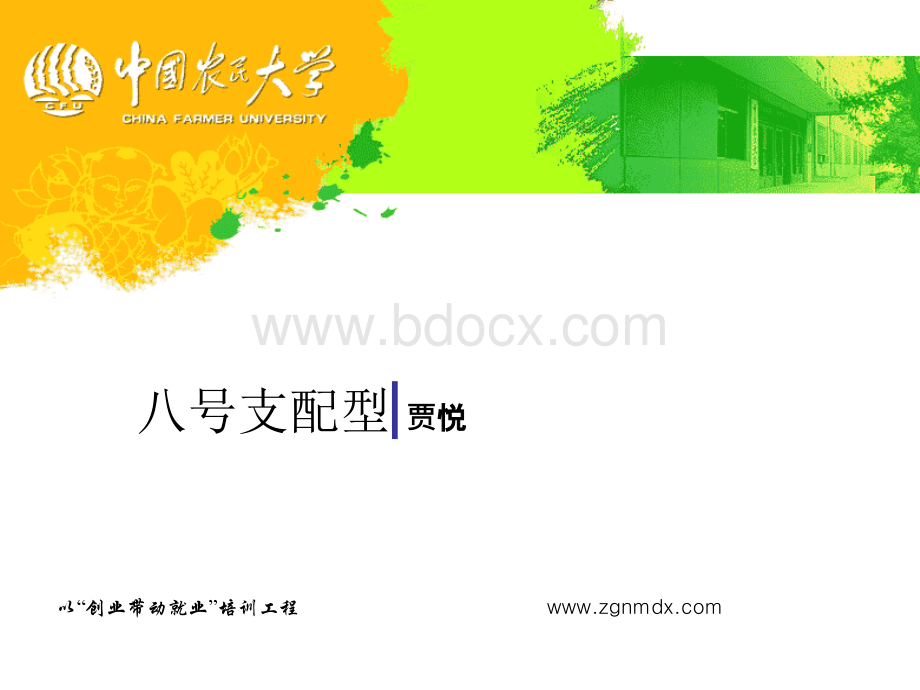 九种个性(九型人格)8号支配型贾悦、丁文浩、讲师、培训师、导师PPT推荐.ppt_第1页