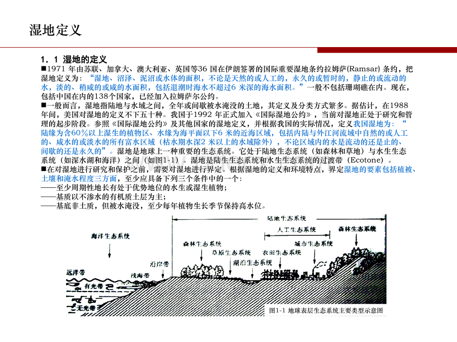 湿地设计案例.ppt_第3页