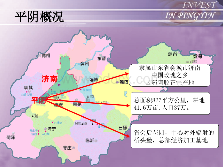 平阴县产业招商指南PPT格式课件下载.ppt_第2页