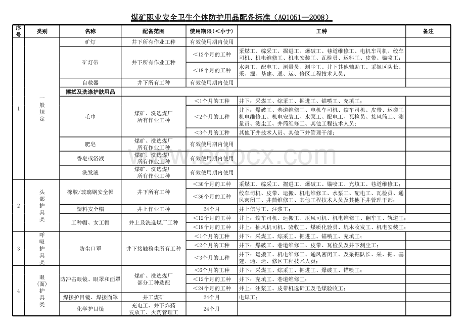 煤矿防护用品配备标准表格文件下载.xls_第1页