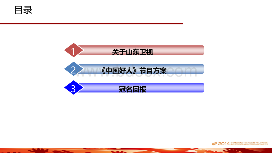 《中国好人》冠名方案7.16PPT推荐.pptx_第2页