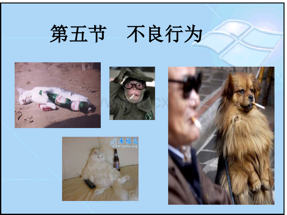 第六章异常心理之不良行为.ppt_第1页