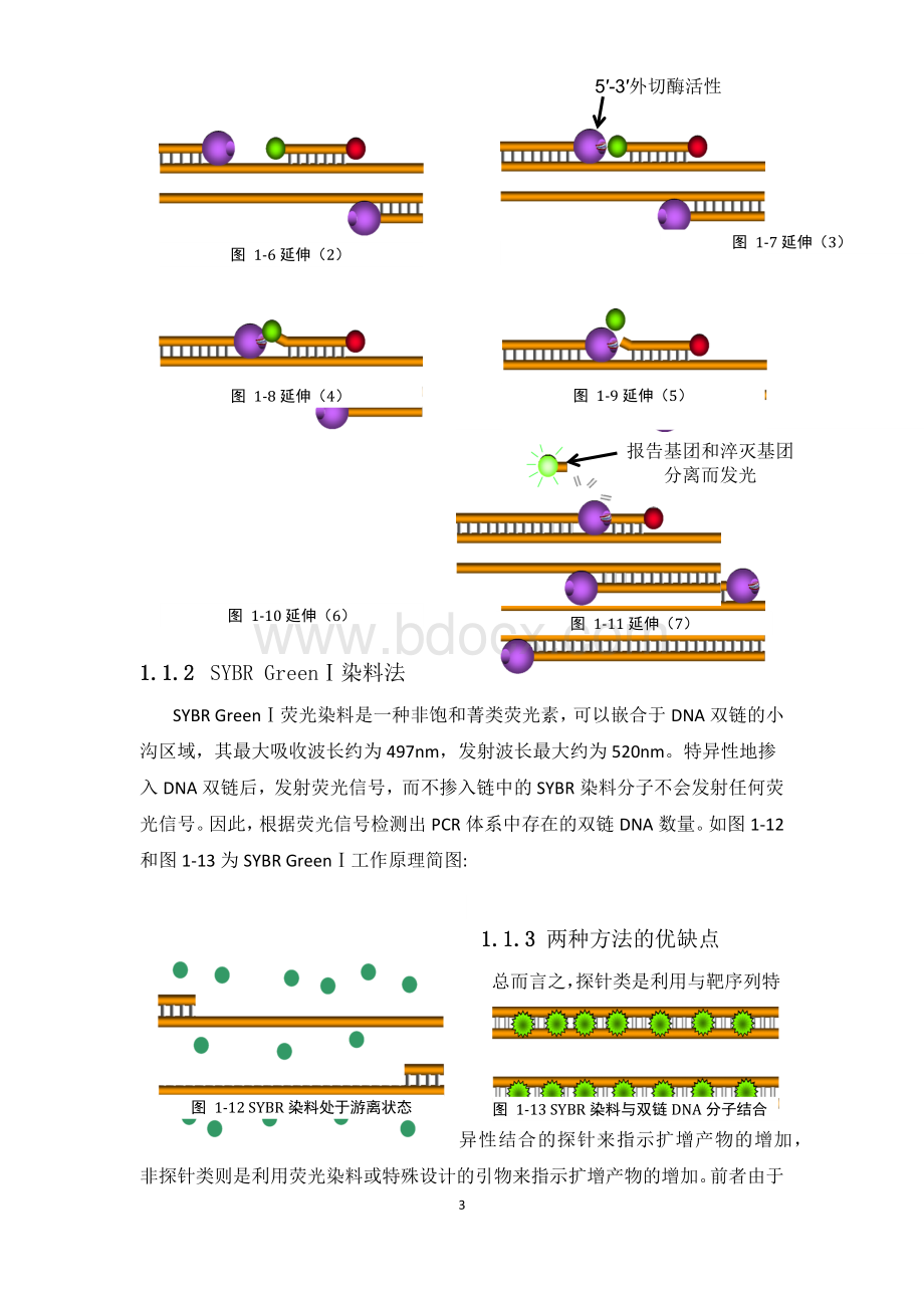 浅谈对实时荧光定量PCR技术的理解Word文档格式.docx_第3页