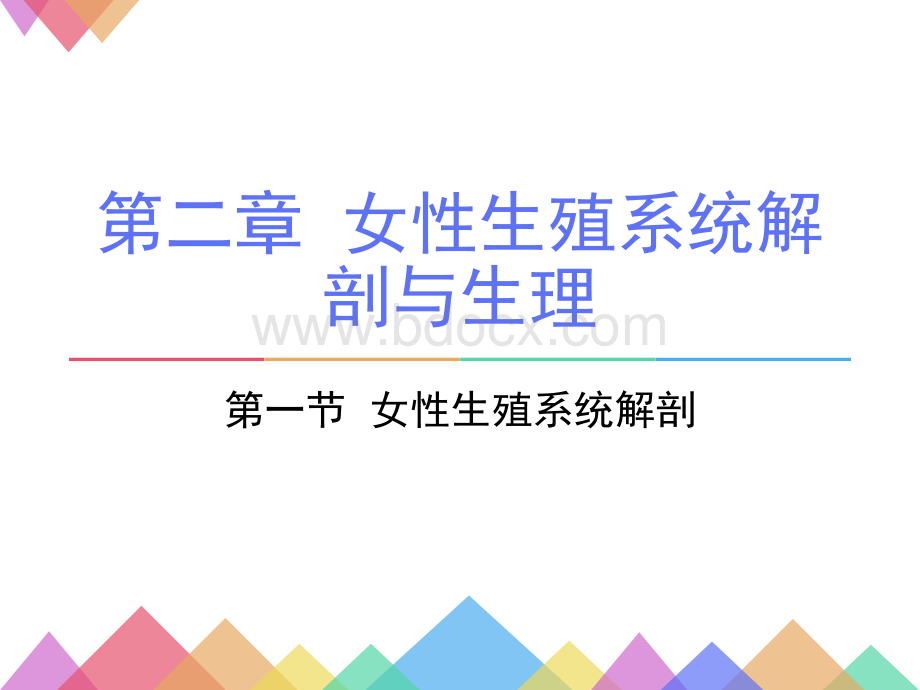 妇产科生理解剖.ppt_第1页